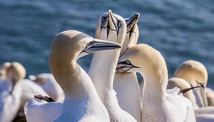 pixiv盘点:爆料3种类型,圈内人上榜理由疯狂令人出乎意料