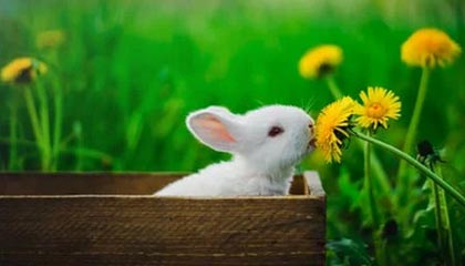 pixiv盘点:猛料最少99%的人都误会了,圈内人上榜理由彻底令人震撼人心